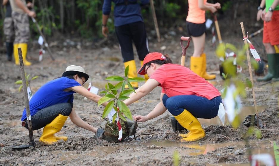 Tree planting sessions under the OneMillionTrees movement