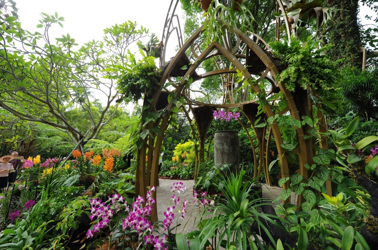 Orchid Garden Tour