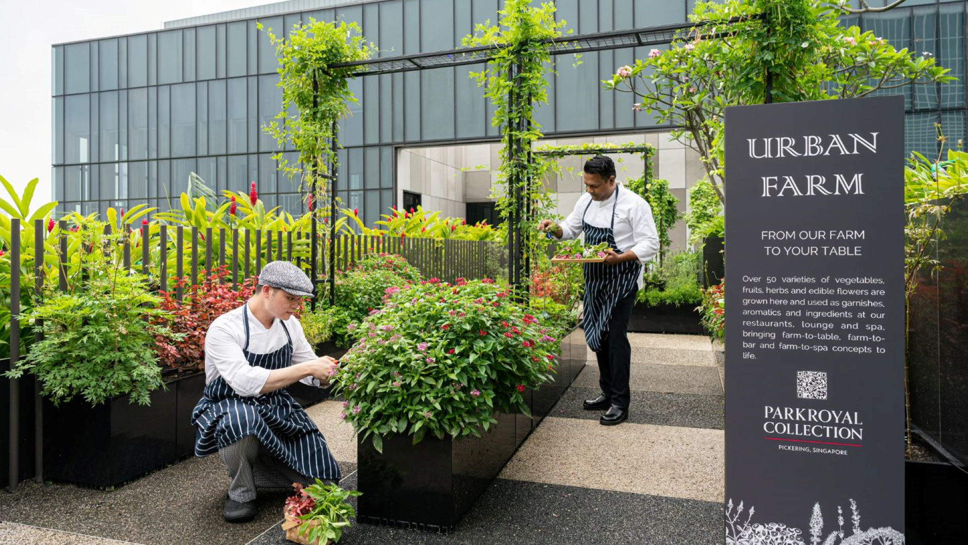 Sustainable Hotel Building Tour at PARKROYAL COLLECTION Pickering, Singapore