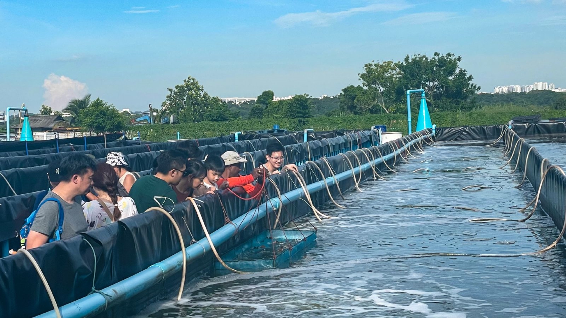 Love seafood? This shrimp farm tour by Blue Aqua's for you!