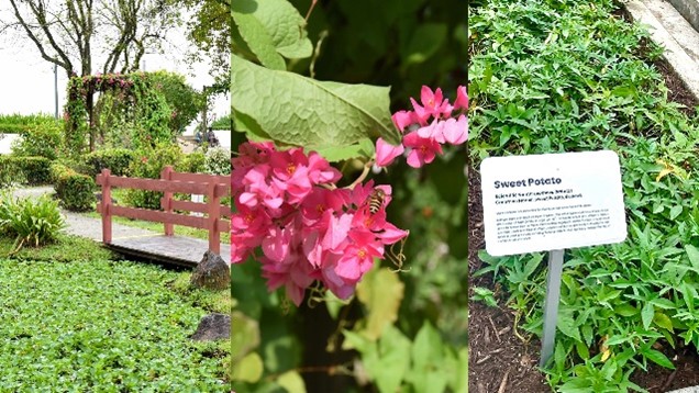 Biodiversity Bonanza: Discover Nature’s Treasures