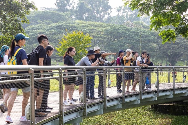 Bird Watching with Bird Society of Singapore