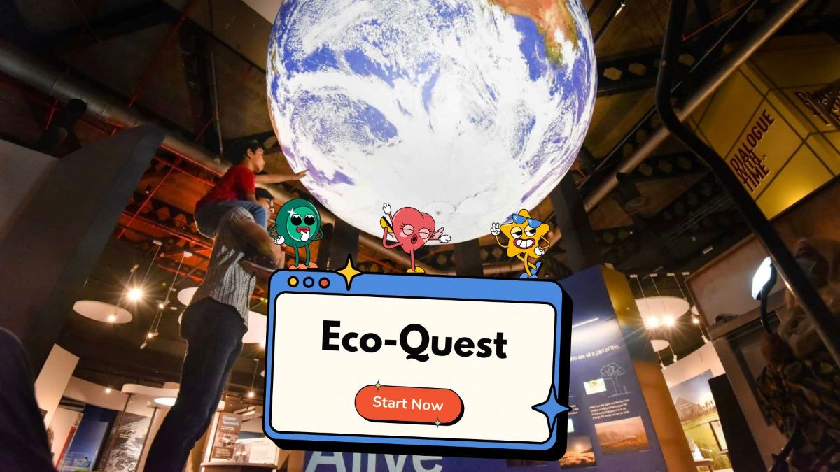 Powering Up Our Planet: Renewable Energy Adventures!