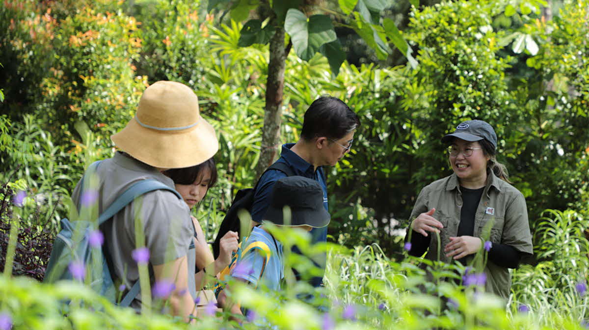 Senja Hawker and Garden Tour + Nature Weave Workshop