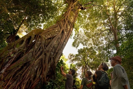 Walk With Your Neighbours at Chestnut Nature Park
