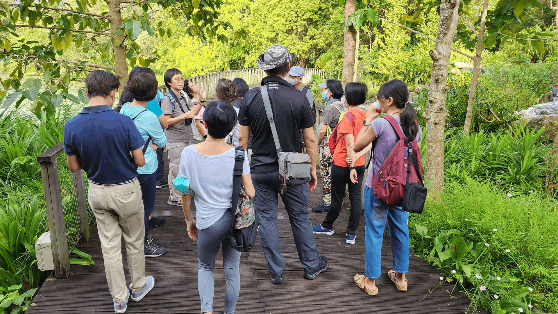 Gardens by the Bay Urban Wetlands Tour