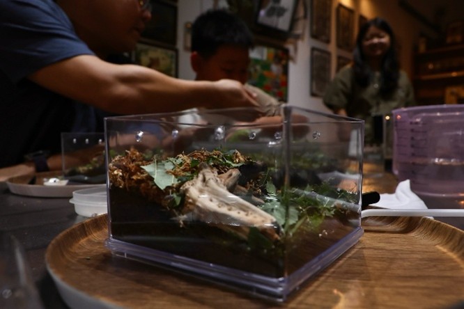 Kitchen Composting with Roly-polies (Isopod Workshop)