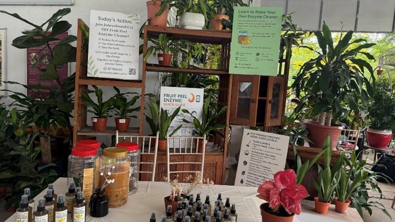 DIY Fruit Peels Enzyme Workshop