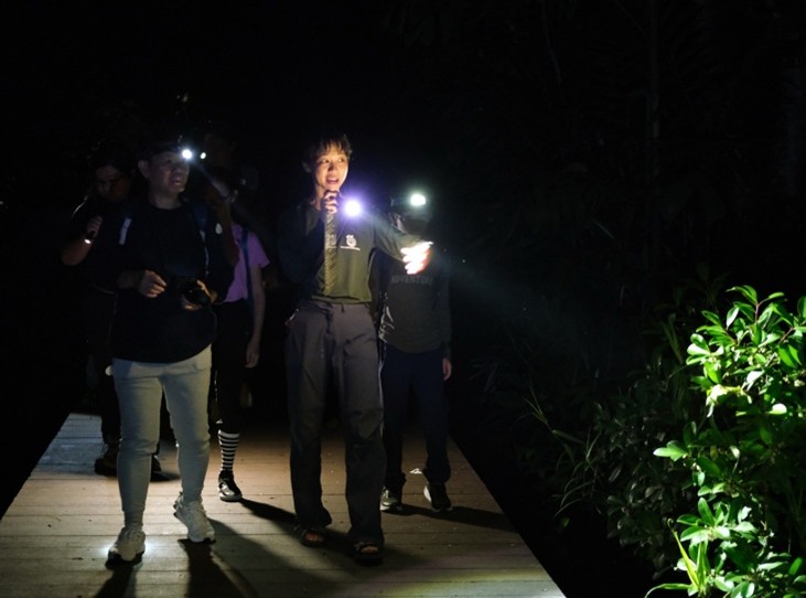 Guided night walk with  a focus on native snakes