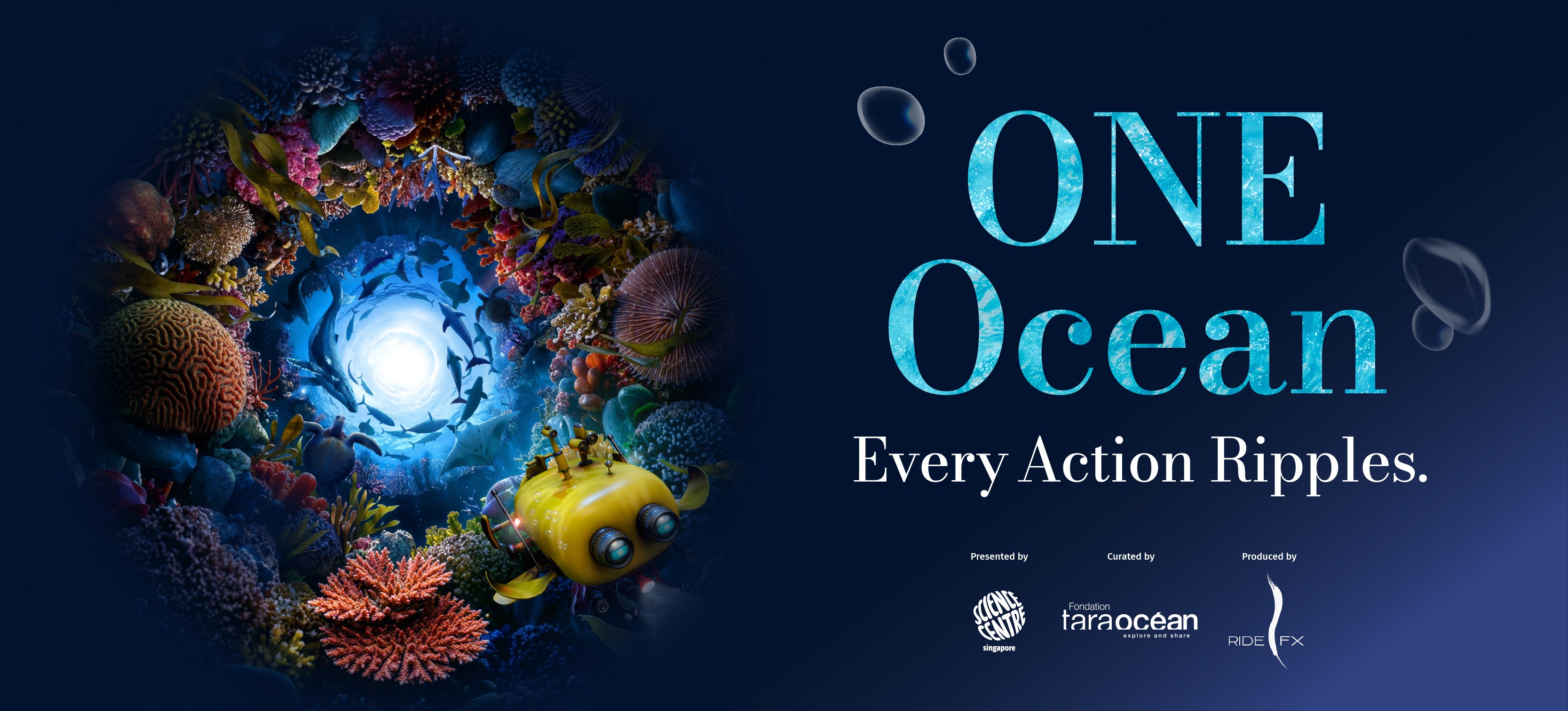 ONE Ocean: Every Action Ripples