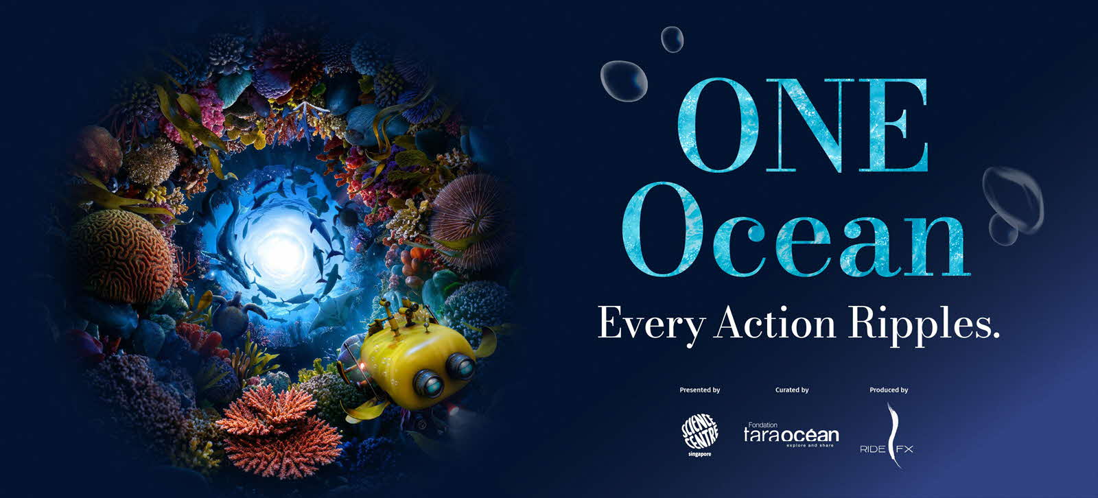 ONE Ocean: Every Action Ripples