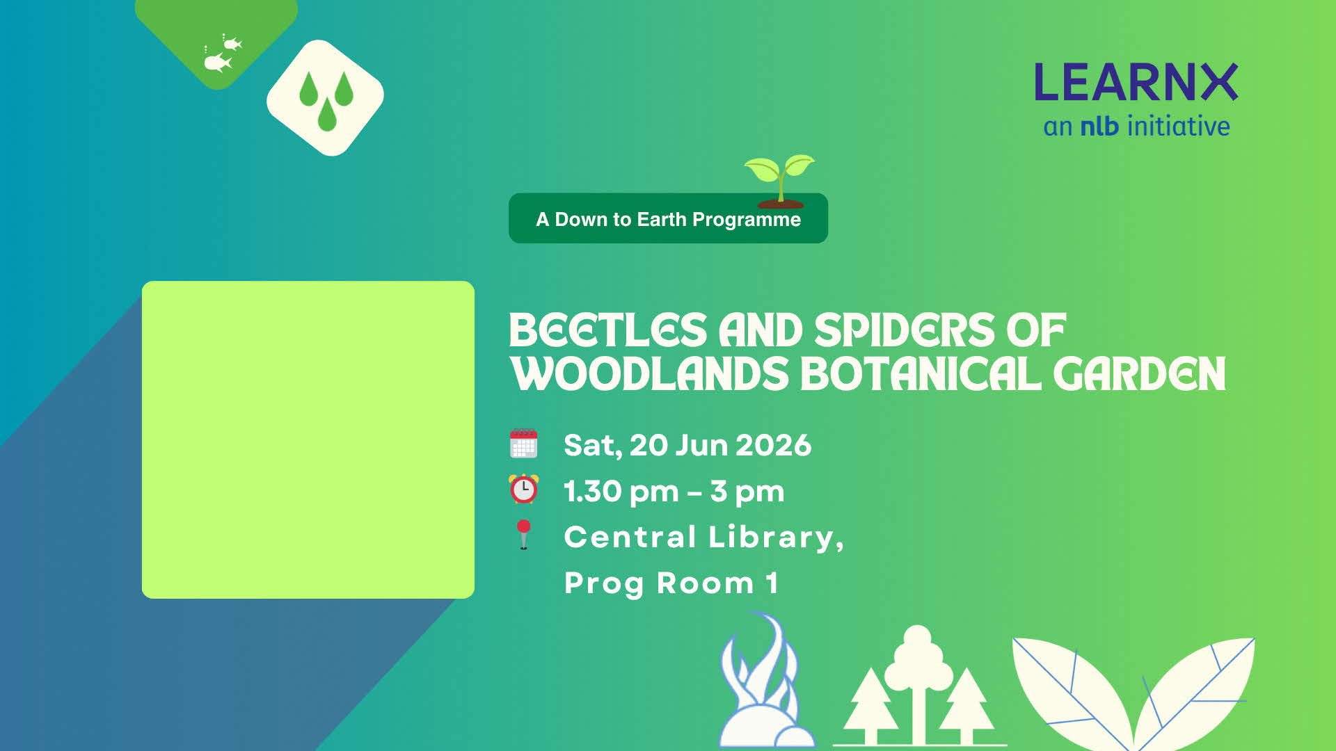 Beetles and Spiders of Woodlands Botanical Garden
