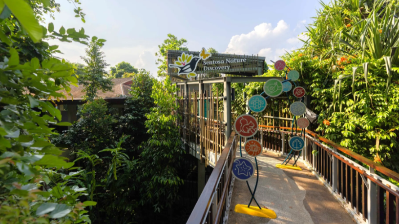 Sentosa Nature Discovery Tour