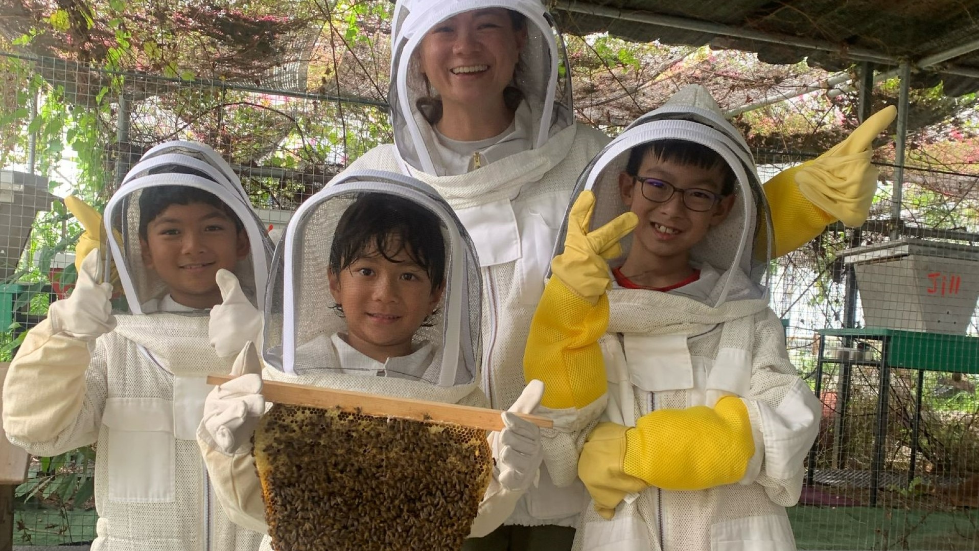 Bee Friends of the Bees and Bee the Solution