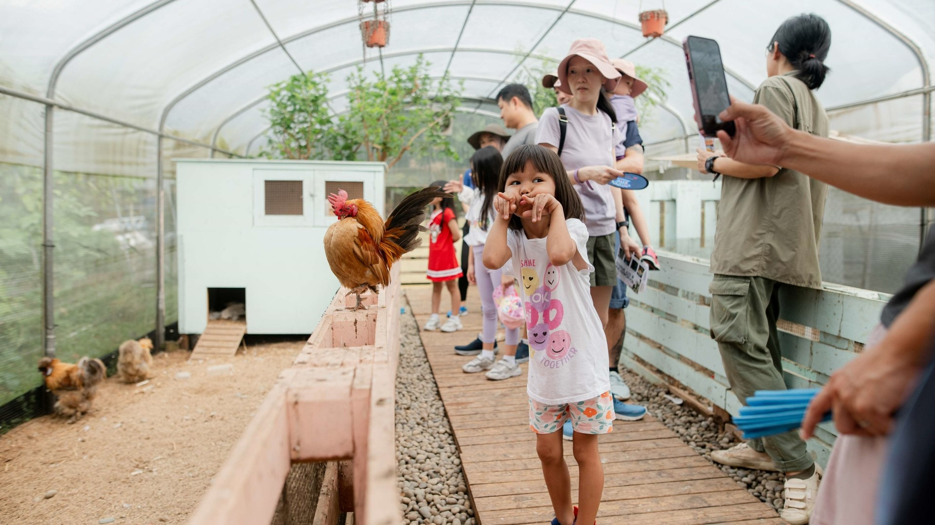 Have a Farm Day Out with City Sprouts