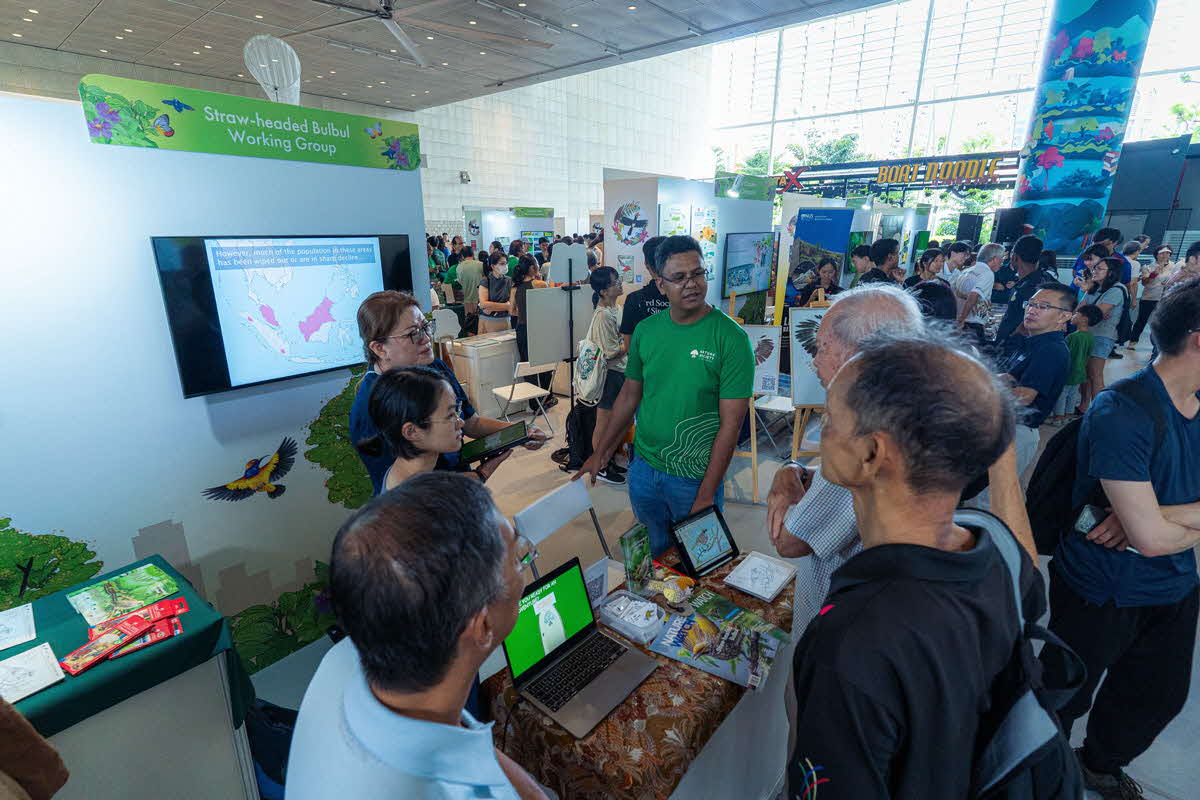 Festival of Biodiversity