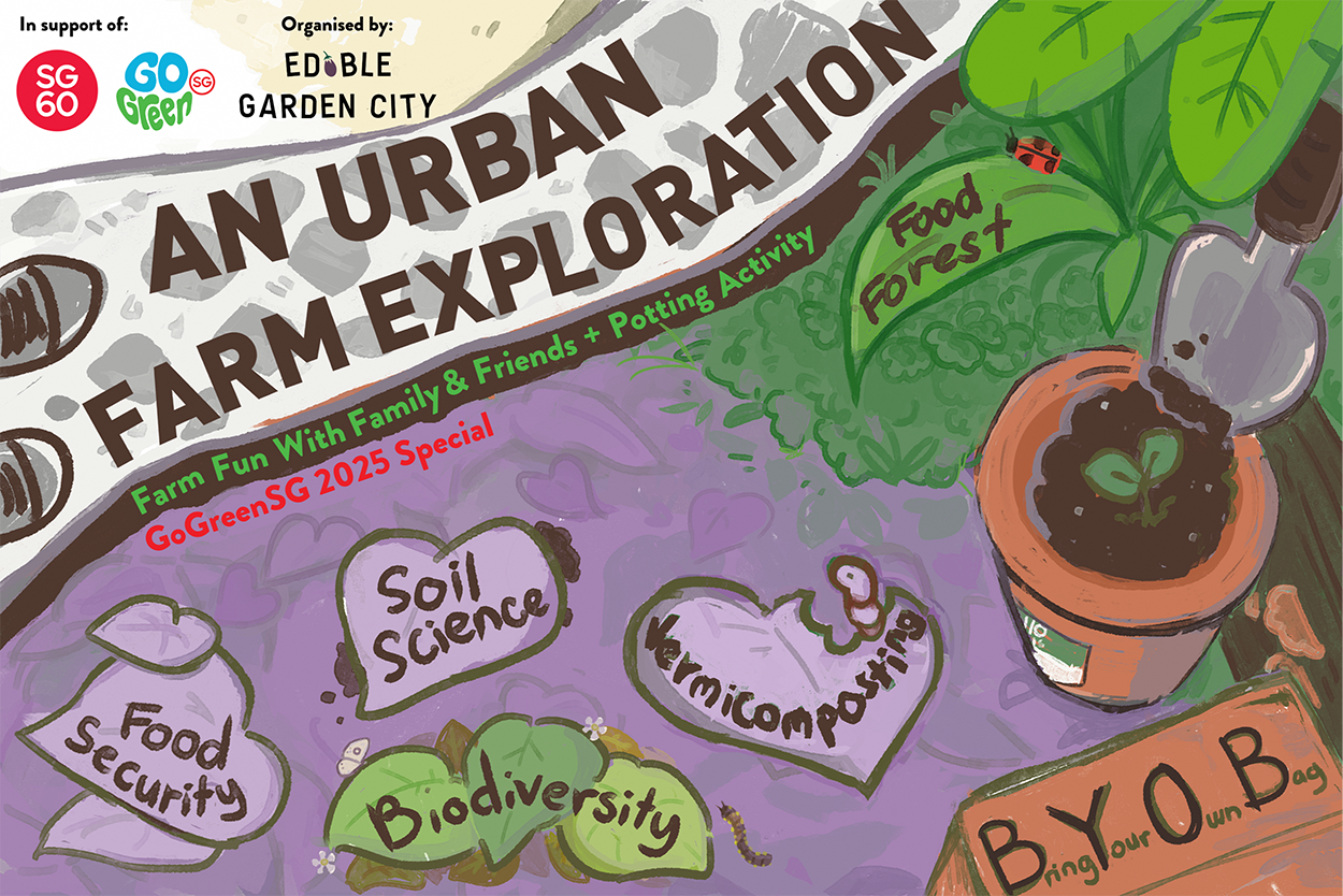 An Urban Farm Exploration – Go Green SG Activity by Edible Garden City