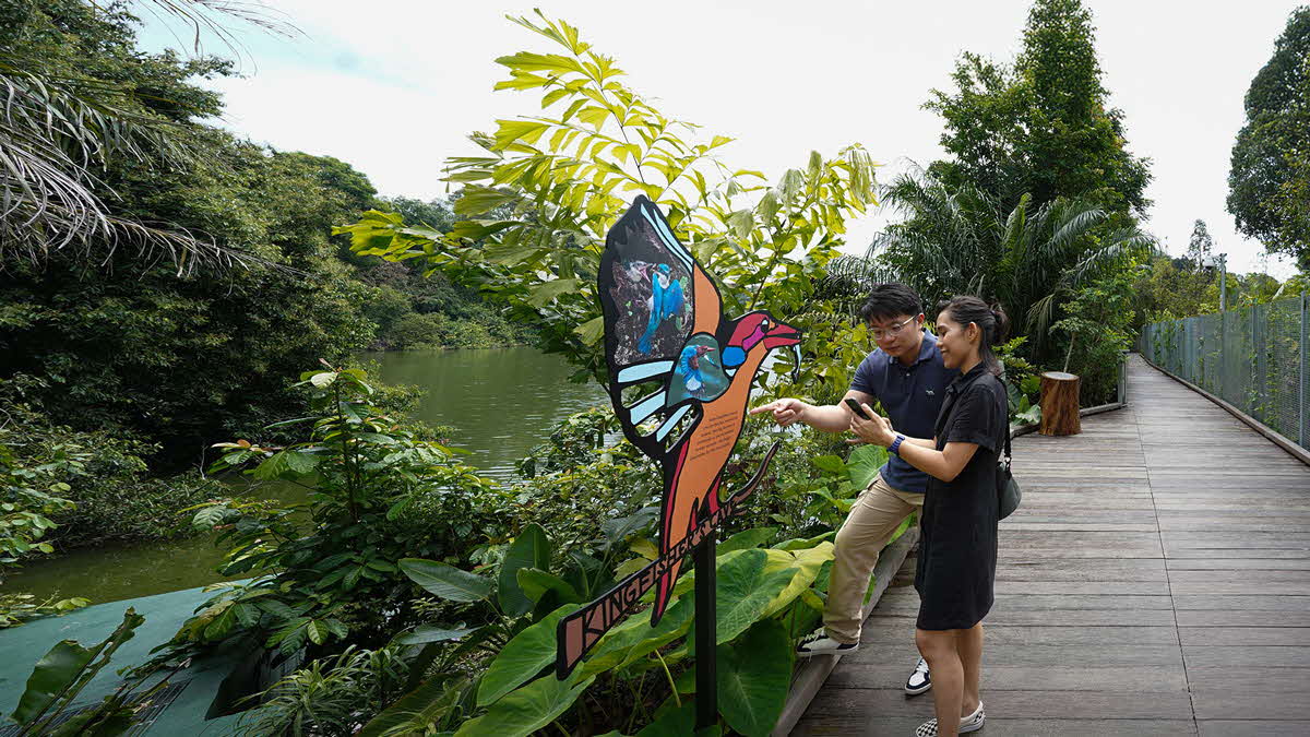 Mandai Boardwalk Digital Trail