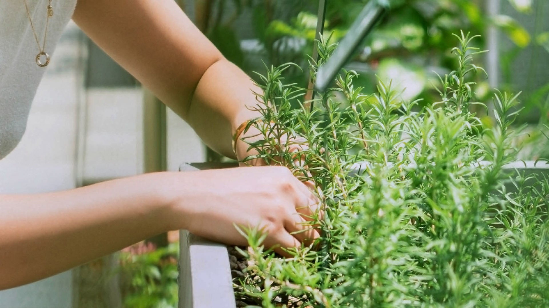 Sustainability at The Shoppes at Marina Bay Sands