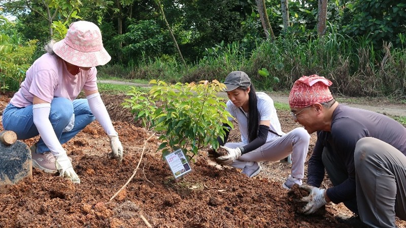 NSS Rewilding Project: Tree Planting along Rail Corridor