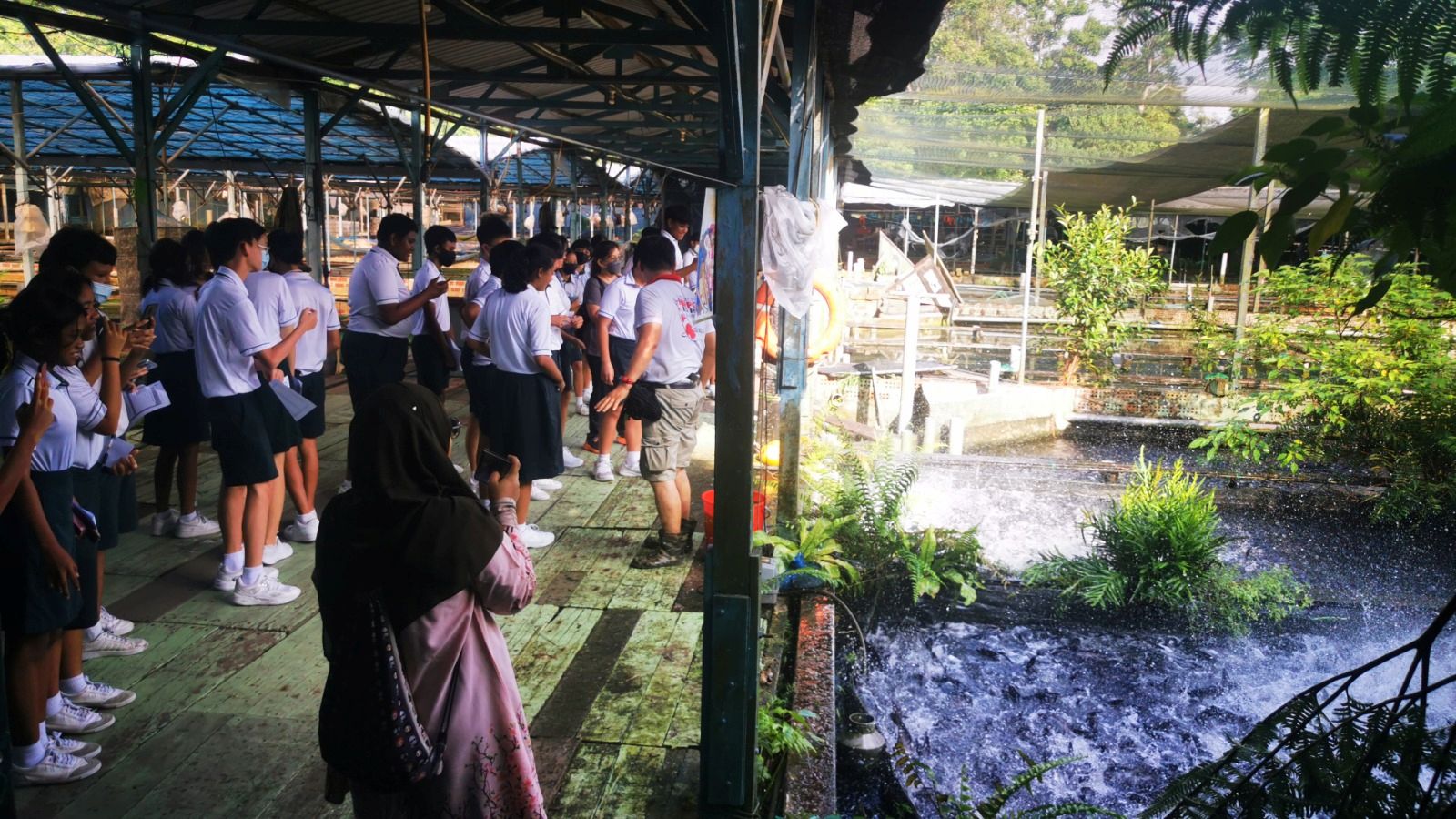 Singaponics' Sustainability and Aquaponics Workshop