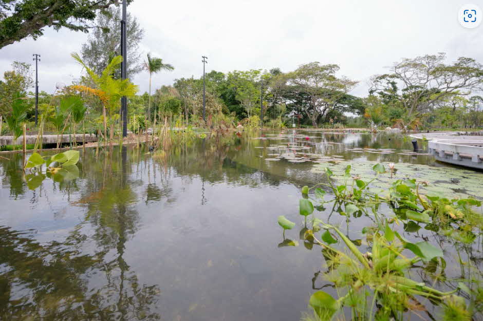 Jurong Lake Gardens Guided Tour - Japanese Garden