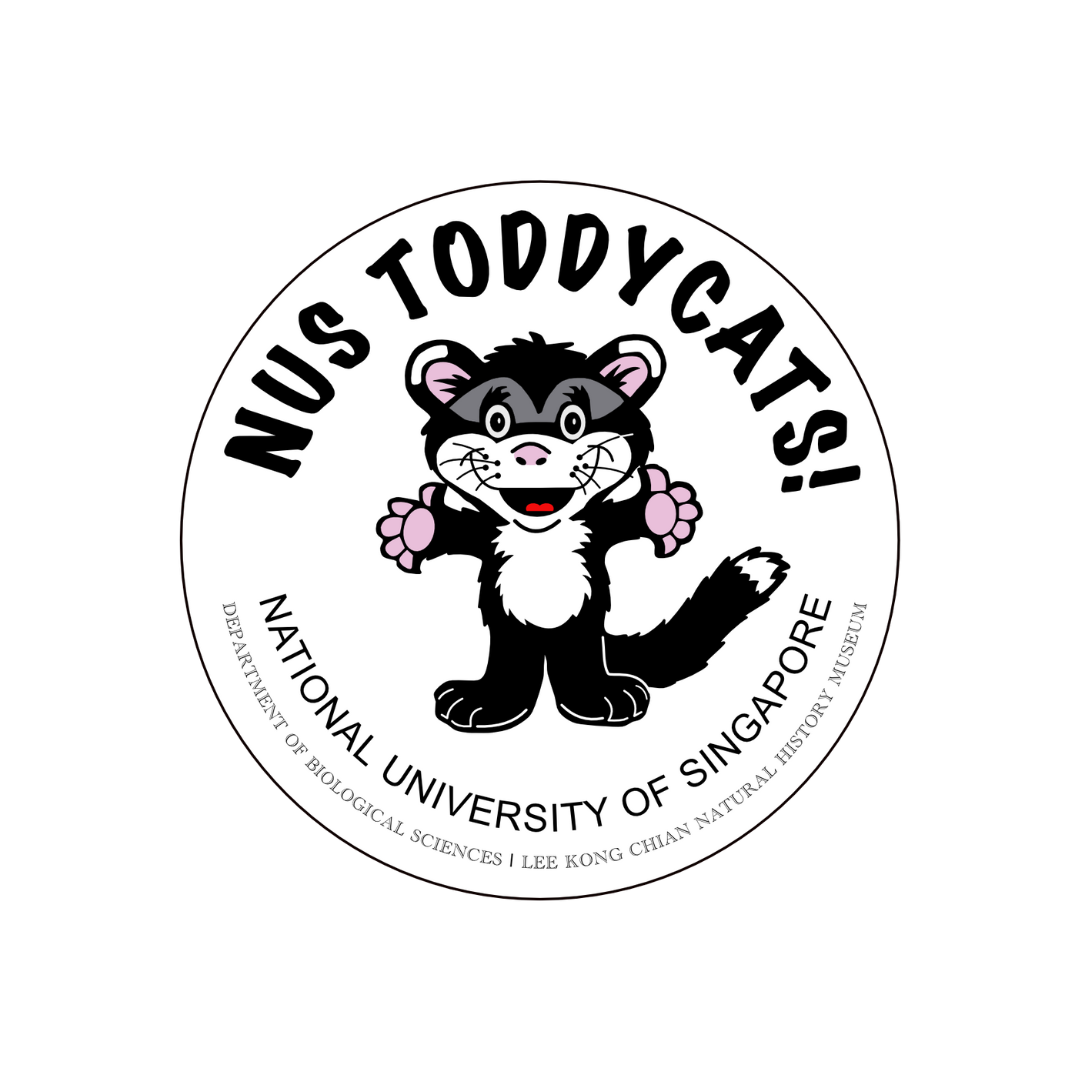 NUS Toddycats