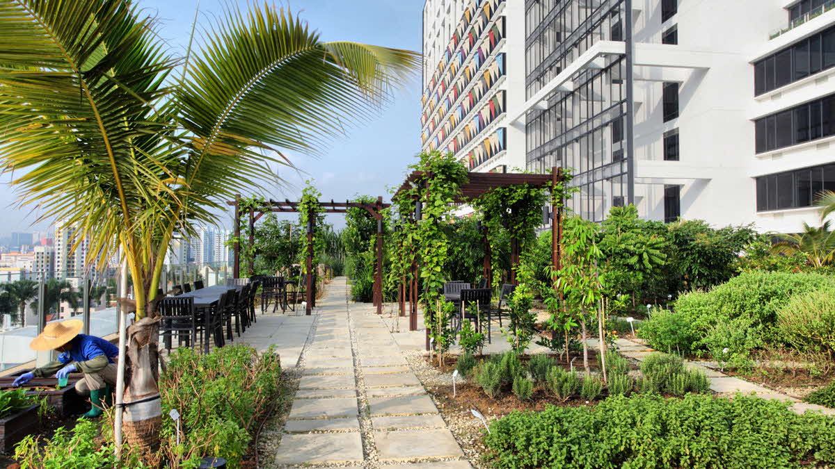 Urban Farm Tour