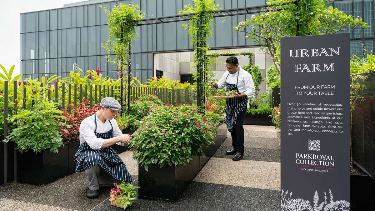 Sustainable Hotel Building Tour
