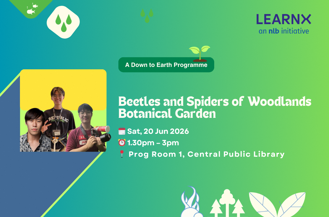 Beetles and Spiders of Woodlands Botanical Garden