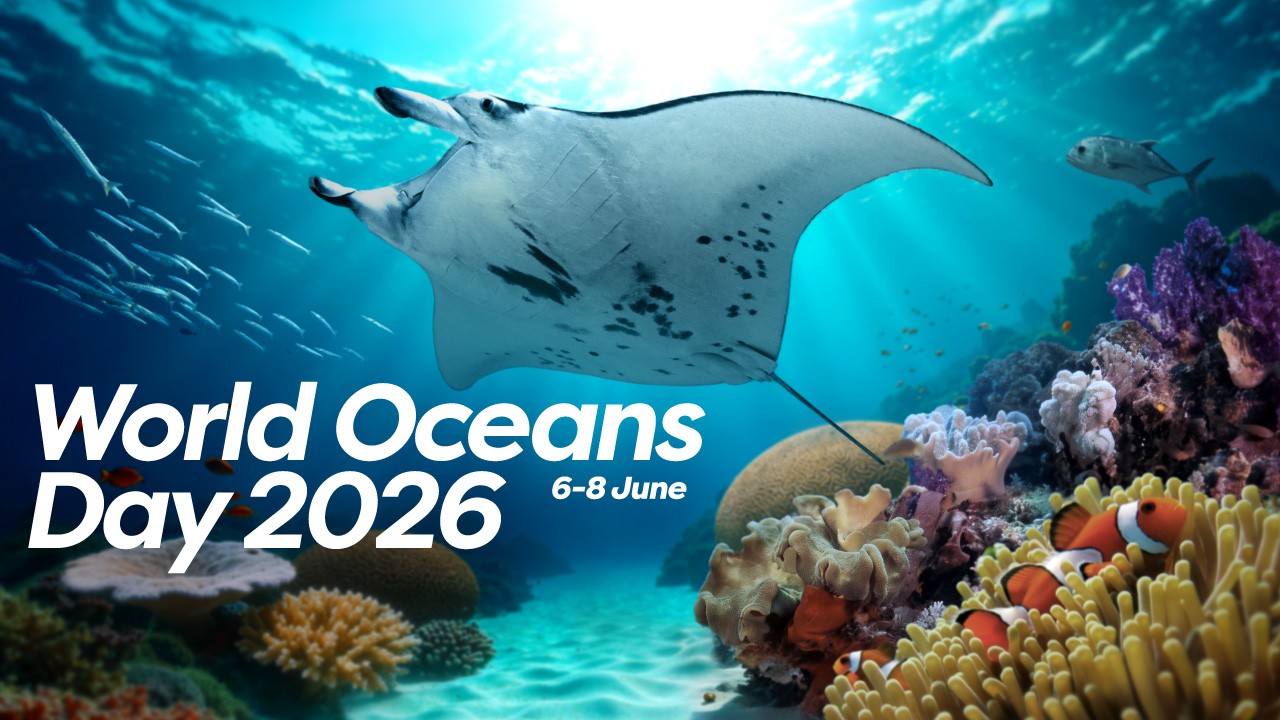 World Oceans Day
