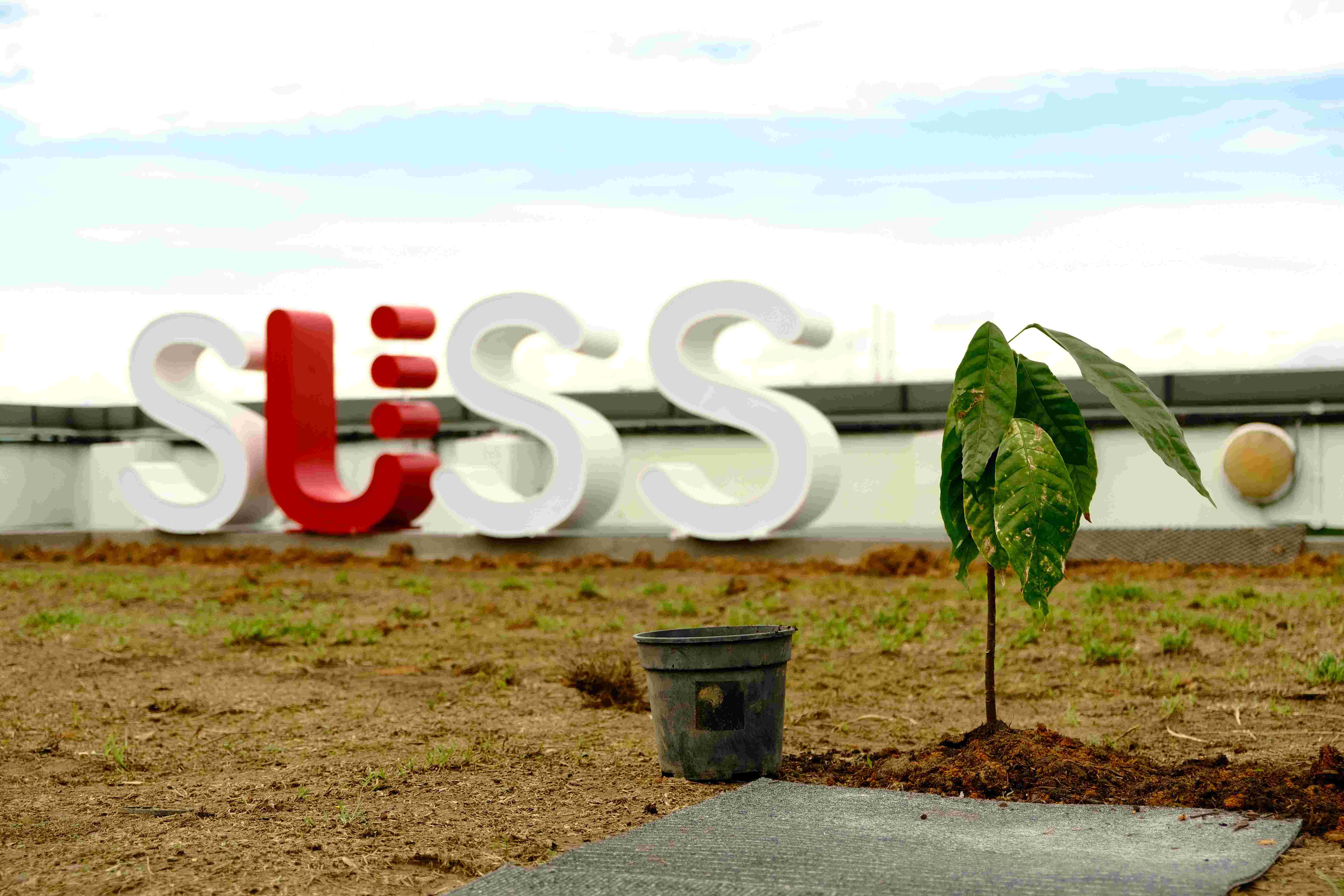 Public Composting Day