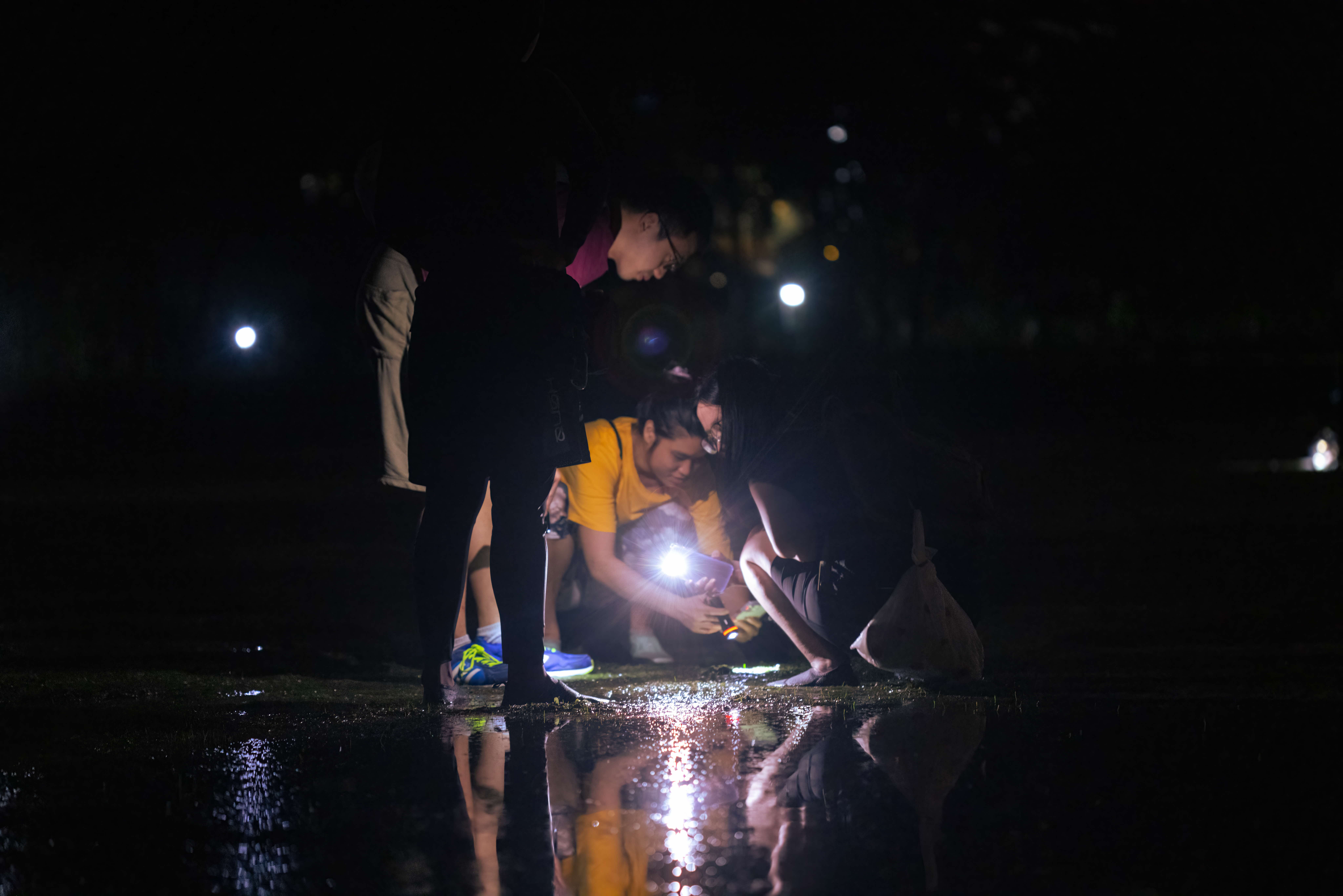 A Deepdive Into Singapore’s Coastal Ecology (Intertidal Walk)