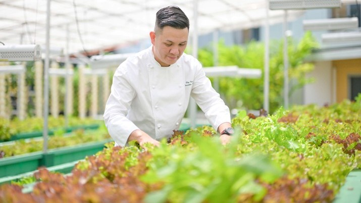 Urban Aquaponics Farm Tour