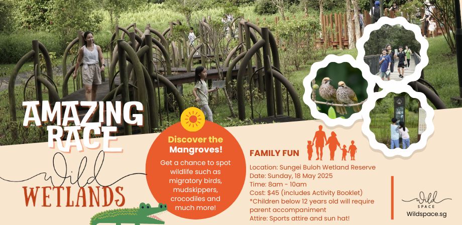 Amazing Race at Sungei Buloh
