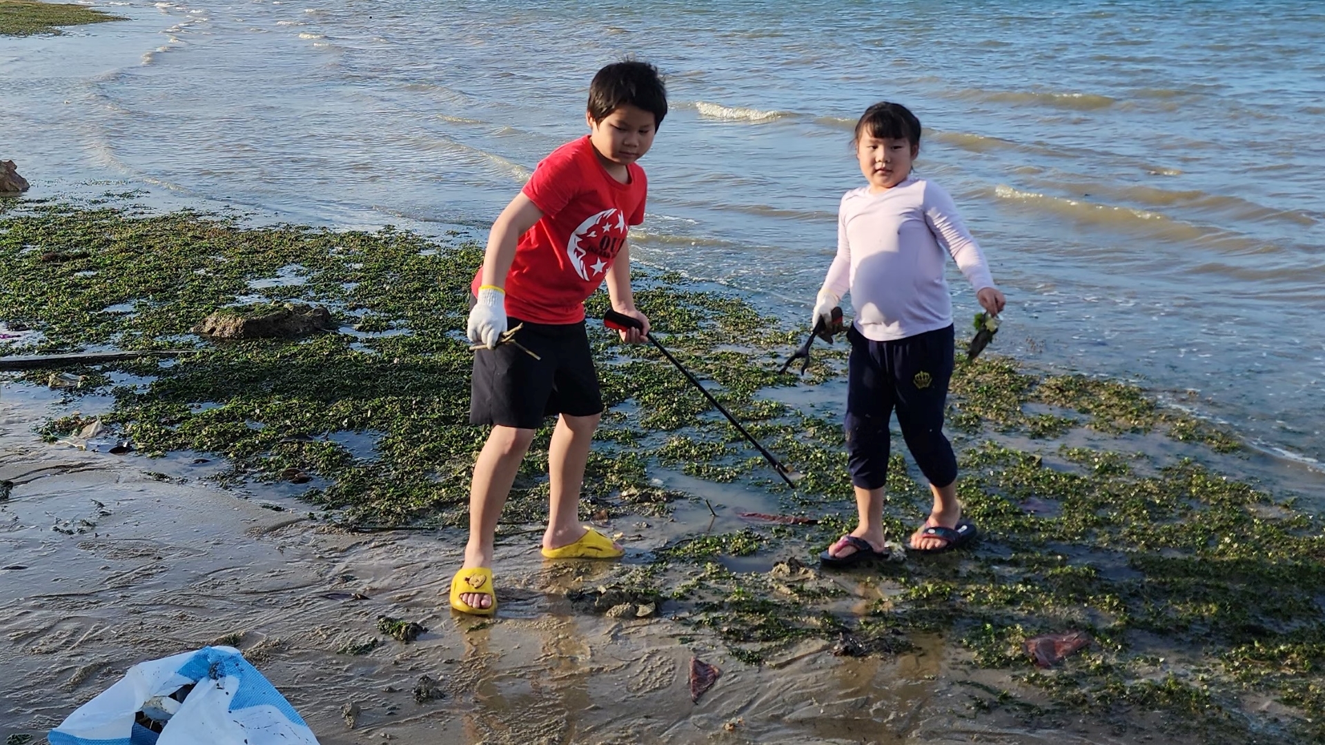 Marine Scientist Day Camp