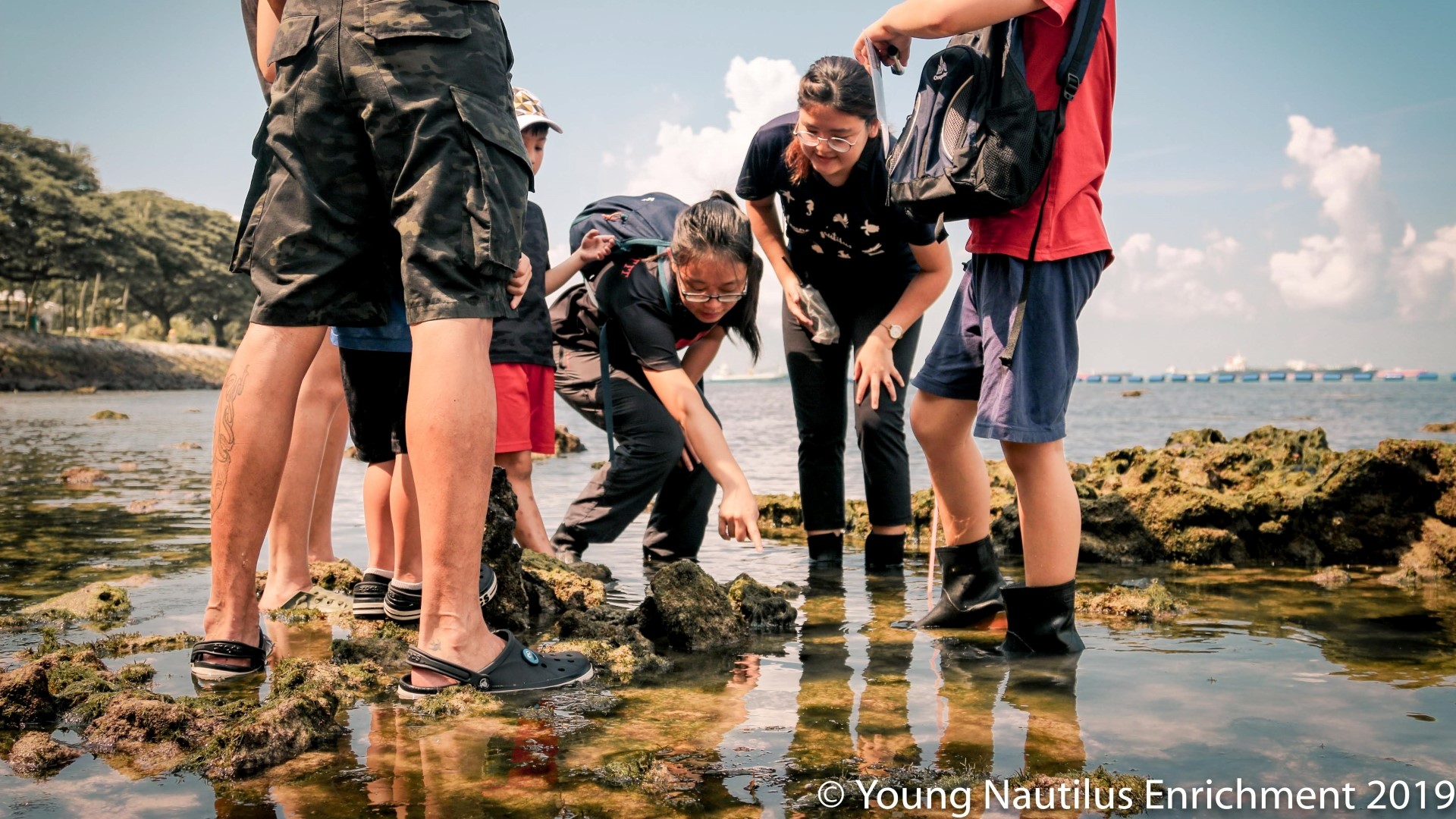 Nature Walks: Unravelling Wildlife Mysteries